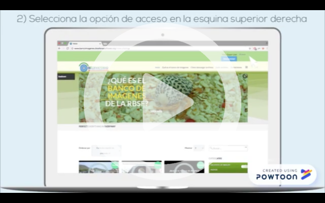 descargar banco imagenes 2